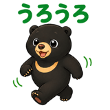 855345006