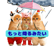 855345627
