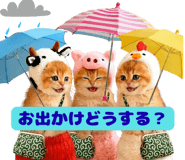 855345630