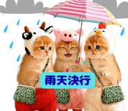 855345631