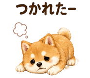 855345702