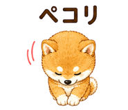855345715
