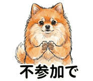 855345804