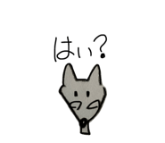 855346661