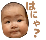855346981