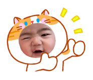 855348206
