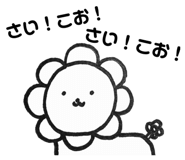 855348807