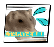 855349005