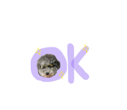 855349020