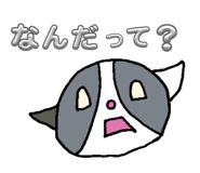 855349772