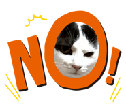 855349870