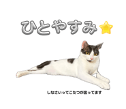 855349872
