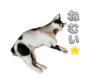 855349880