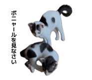 855349895