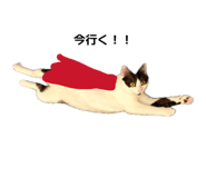 855349896