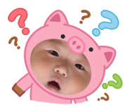 855350043