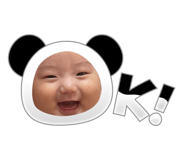 855350045