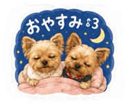 855350228