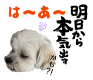 855350681