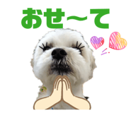 855350686
