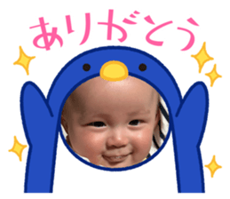 855351266