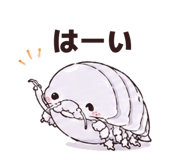 855351365