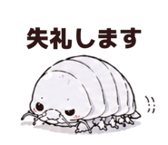 855351372