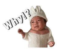 855352411
