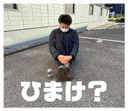 855352684