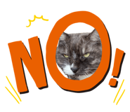 855352701