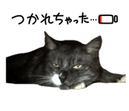 855352712