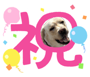 855352886