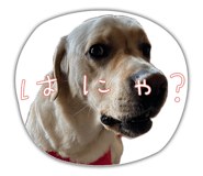 855352887