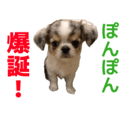 855353009