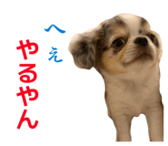 855353010