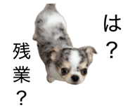 855353015