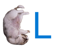 855353016
