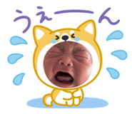 855353019