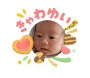 855353025