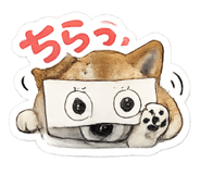 855353040