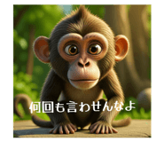 855353062