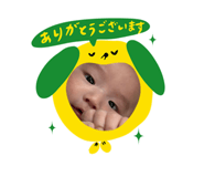 855353751