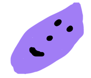 855354853