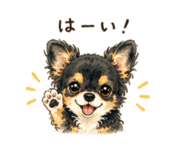 855355092