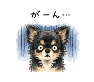 855355102