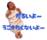 855355497