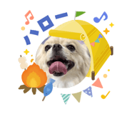 855355967