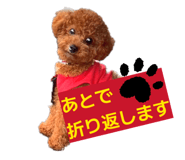 855356323