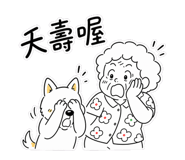 855356955