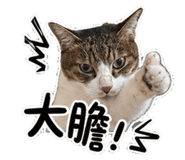 855358209